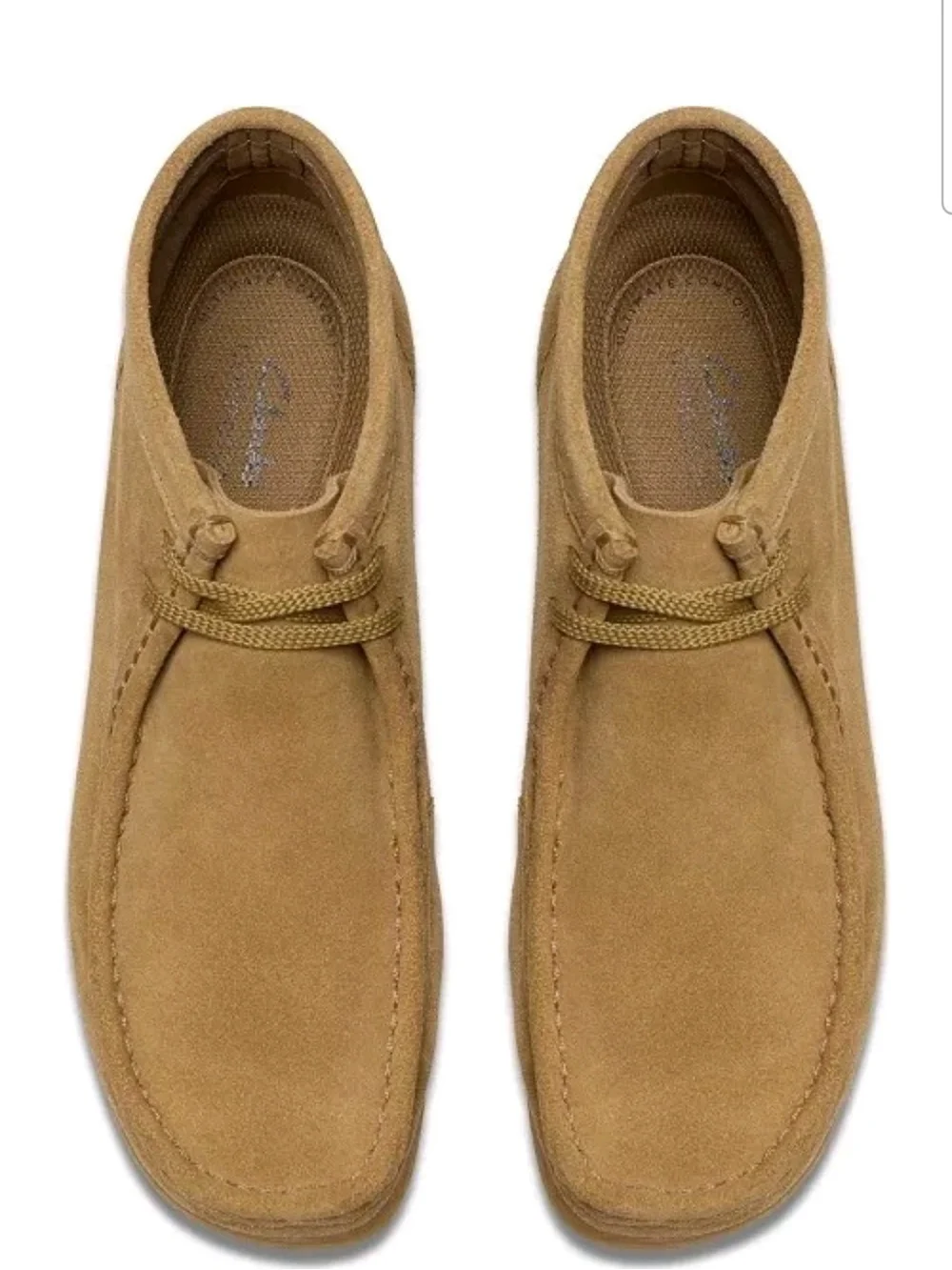 Clarks classic men